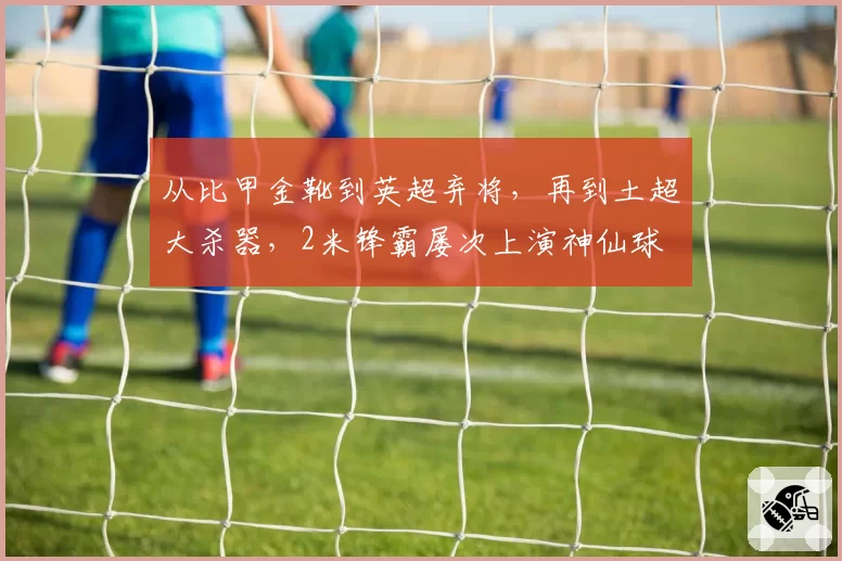 从比甲金靴到英超弃将，再到土超大杀器，2米锋霸屡次上演神仙球