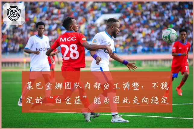 莱巴金娜团队内部分工调整,不稳定的“白金莲”能否因此走向稳定?