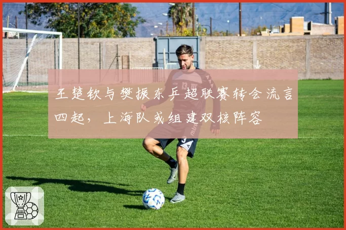 王楚钦与樊振东乒超联赛转会流言四起，上海队或组建双核阵容