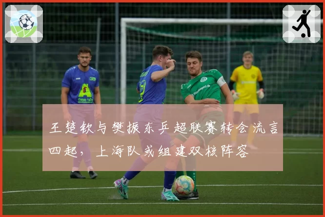 王楚钦与樊振东乒超联赛转会流言四起，上海队或组建双核阵容